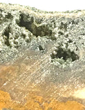 Indonesian Orbicular Jasper slab 16.8 oz (475 grams) - radiantrocksct