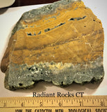Indonesian Orbicular Jasper slab 16.8 oz (475 grams) - radiantrocksct