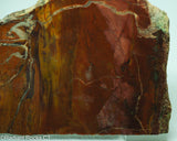 Jelly Bean Jasper Lapidary Slab - Radiant Rocks CT