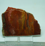 Jelly Bean Jasper Lapidary Slab - Radiant Rocks CT