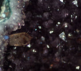 Amethyst Cathedral Geode Display - deep cavern beauty! - radiantrocksct