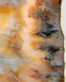 Northridge Plume Agate 3.8 oz  lapidary slab great plumes and agate - radiantrocksct