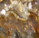 Northridge Plume Agate 3.8 oz  lapidary slab great plumes and agate - radiantrocksct