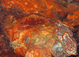 Red Crazy Lace agate Lapidary Cabochon rough 40 lbs Great colors /patterns - radiantrocksct