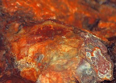Red Crazy Lace agate Lapidary Cabochon rough 40 lbs Great colors /patterns - radiantrocksct