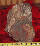 Red Crazy Lace agate Lapidary Cabochon rough 22.9 lbs Great colors /patterns - radiantrocksct