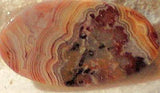 Red Crazy Lace Agate Cabochon 11 carats - radiantrocksct