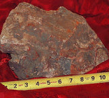 Red Crazy Lace agate Lapidary Cabochon rough 22.9 lbs Great colors /patterns - radiantrocksct