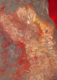 Red Crazy Lace agate Lapidary Cabochon rough 22.9 lbs Great colors /patterns - radiantrocksct