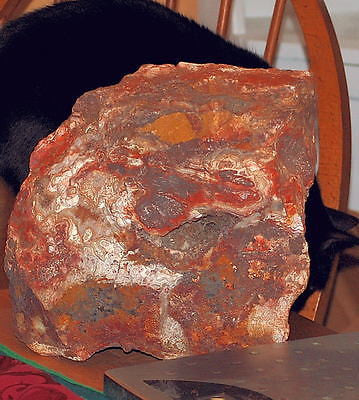 Red Crazy Lace agate Lapidary Cabochon rough 22.9 lbs Great colors /patterns - radiantrocksct