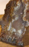 Northridge Plume Agate 3.2 oz  lapidary slab great plumes and agate - radiantrocksct
