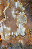 Northridge Plume Agate 3.2 oz  lapidary slab great plumes and agate - radiantrocksct