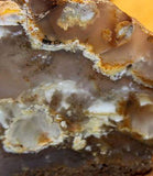 Northridge Plume Agate 3.2 oz  lapidary slab great plumes and agate - radiantrocksct