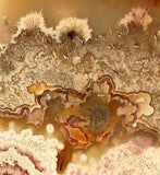 Red Crazy Lace Agate Cabochon 130 carats - radiantrocksct