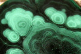 Congo Malachite freeform Cabochon  54.5 carats - radiantrocksct