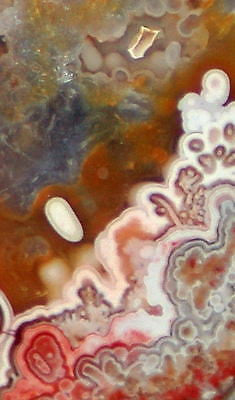 Red Crazy Lace Agate Cabochon 50 carats - radiantrocksct