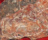 Red Crazy Lace agate Lapidary Cabochon rough 22.9 lbs Great colors /patterns - radiantrocksct