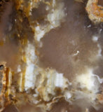 Northridge Plume Agate 3.2 oz  lapidary slab great plumes and agate - radiantrocksct