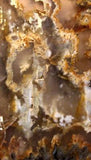 Northridge Plume Agate 3.8 oz  lapidary slab great plumes and agate - radiantrocksct