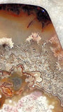 Red Crazy Lace Agate Cabochon 130 carats - radiantrocksct