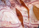 Utah Wonderstone Rough Lapidary Material 5.2 lbs carve some of this for fun! - radiantrocksct