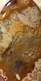 Red Crazy Lace Agate Cabochon 50 carats - radiantrocksct