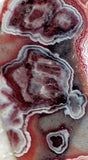 Red Crazy Lace Agate Cabochon 36 carats - radiantrocksct