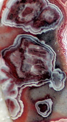 Red Crazy Lace Agate Cabochon 36 carats - radiantrocksct