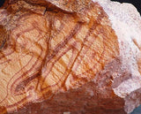 Utah Wonderstone Rough Lapidary Material 5.2 lbs carve some of this for fun! - radiantrocksct