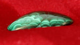 Congo Malachite freeform Cabochon  54.5 carats - radiantrocksct