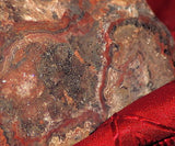 Red Crazy Lace agate Lapidary Cabochon rough 22.9 lbs Great colors /patterns - radiantrocksct