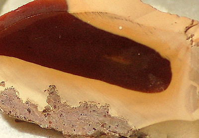 Bruneau Jasper Lapidary Cabochon Slab 0.6 oz light and dark contrasts - radiantrocksct