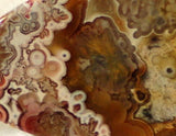 Red Crazy Lace Agate Cabochon 50 carats - radiantrocksct