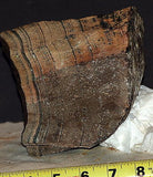 Russian Picture Rock Skarn Datolite lapidary rough 5.2 lbs slab/cab great bands - radiantrocksct