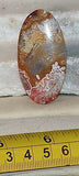 Red Crazy Lace Agate Cabochon 50 carats - radiantrocksct