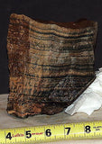 Russian Picture Rock Skarn Datolite lapidary rough 5.2 lbs slab/cab great bands - radiantrocksct