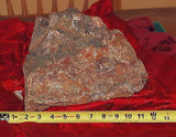 Red Crazy Lace agate Lapidary Cabochon rough 22.9 lbs Great colors /patterns - radiantrocksct