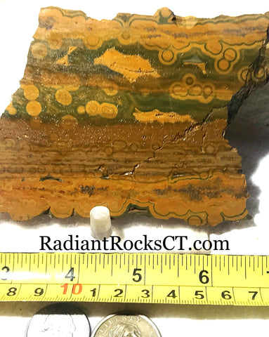 Kabamby Ocean Jasper  Lapidary Cab Slab 4.4 oz (125 grams) - radiantrocksct