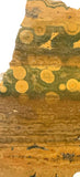 Kabamby Ocean Jasper  Lapidary Cab Slab 4.4 oz (125 grams) - radiantrocksct
