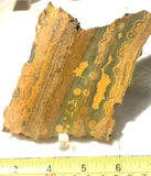 Kabamby Ocean Jasper  Lapidary Cab Slab 4.4 oz (125 grams) - radiantrocksct