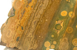 Kabamby Ocean Jasper  Lapidary Cab Slab 4.4 oz (125 grams) - radiantrocksct