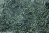 Kambaba Jasper  lapidary slab  -  Radiant Rocks CT