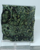 Kambaba Jasper  lapidary slab  -  Radiant Rocks CT