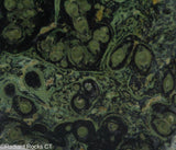 Kambaba Jasper  lapidary slab  -  Radiant Rocks CT