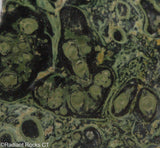 Kambaba Jasper  lapidary slab  -  Radiant Rocks CT