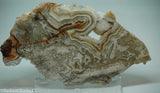 Laguna Lace Agate Lapidary Slab 4.2 oz  (115 grams)