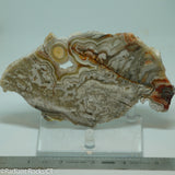 Laguna Lace Agate Lapidary Slab 4.2 oz  (115 grams)