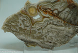 Laguna Lace Agate Lapidary Slab 4.2 oz  (115 grams)