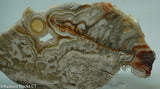 Laguna Lace Agate Lapidary Slab 4.2 oz  (115 grams)