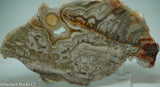 Laguna Lace Agate Lapidary Slab 4.2 oz  (115 grams)